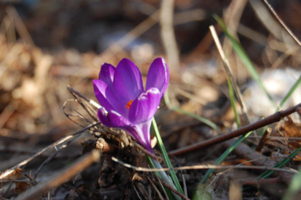 Frühlingscheck bei AST